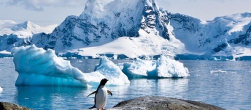 La Antártida en peligro va cediendo su territorio al mar