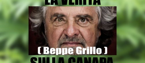Beppe Grillo rilancia il tema della legalizzazione della cannabis