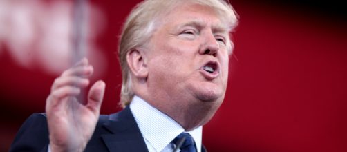 Donald Trump -- Gage Skidmore/Flickr.