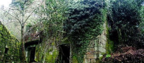 Turismo: Se cede aldea en Orense a reformar. Precio: 0 euros ... - elconfidencial.com