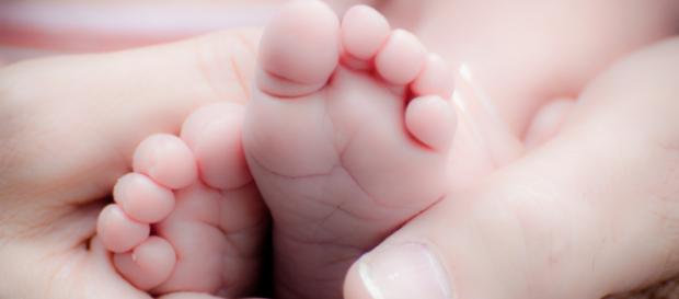 Five everyday baby products to help your newborn and make your life easier (photo free use via Pexels.com) Five everyday baby products to help your newborn and make your life easier (photo free use via Pexels.com)