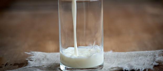 Por qué sustituir la leche de vaca por leche vegetal casera ... - vitality4life.es Por qué sustituir la leche de vaca por leche vegetal casera ... - vitality4life.es