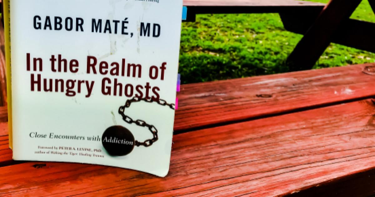 in the realm of hungry ghosts dr gabor maté