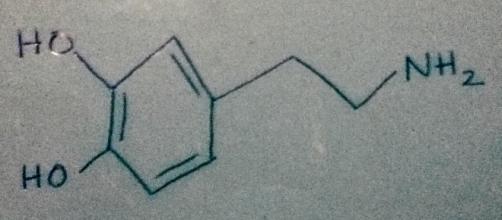 Dopamine: the molecule. Picture/Drawing Credit: Me, Sloan Nielsen