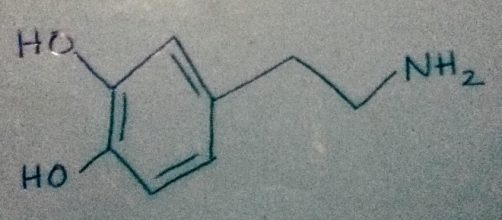 Dopamine: the molecule. Picture/Drawing Credit: Me, Sloan Nielsen