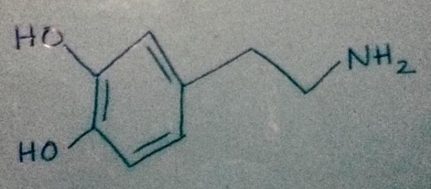 Dopamine: the molecule. Picture/Drawing Credit: Me, Sloan Nielsen Dopamine: the molecule. Picture/Drawing Credit: Me, Sloan Nielsen