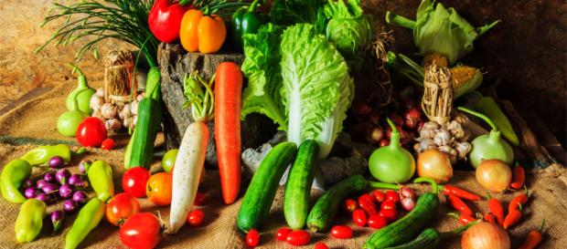 Dietas Para Adelgazar: Guia Definitiva Con Recetas y Tips! - tipsnutritivos.com Dietas Para Adelgazar: Guia Definitiva Con Recetas y Tips! - tipsnutritivos.com