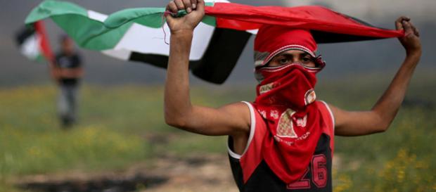 Los militares asesinan a diecisiete palestinos en la Franja de Gaza. Los militares asesinan a diecisiete palestinos en la Franja de Gaza.