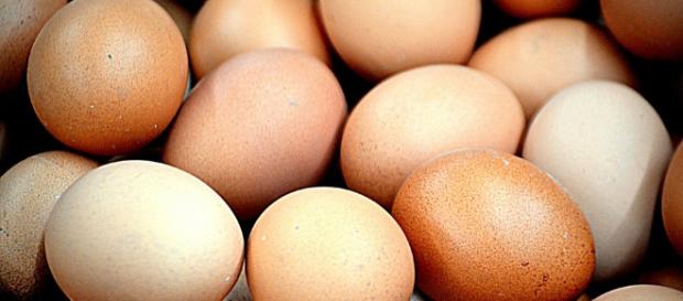 El huevo es rico en vitaminas, proteínas y minerales. Y apesar de su mala fama, no dispara el nivel de colesterol El huevo es rico en vitaminas, proteínas y minerales. Y apesar de su mala fama, no dispara el nivel de colesterol