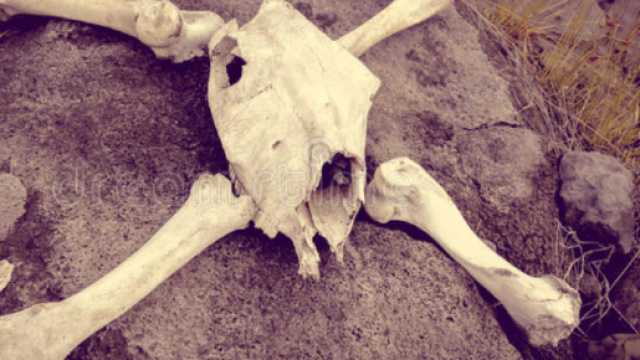 Ritrovate ossa nel Salento. Immagine di repertorio.