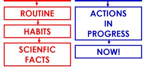 Diferenças principais entre Simple Present e Present Continuous