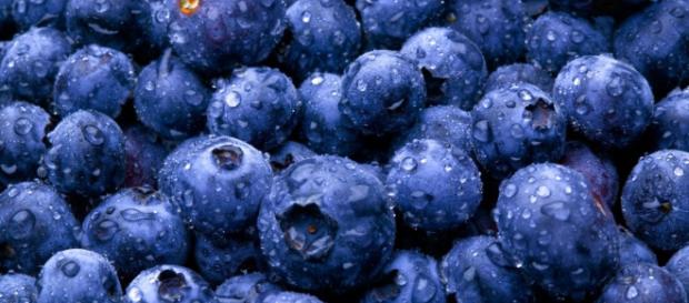 Arándanos contra la enfermedad de Alzheimer Arándanos contra la enfermedad de Alzheimer