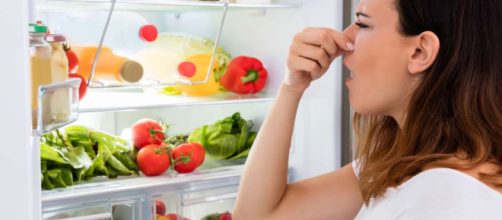 Aprende cómo eliminar los malos olores de tu refrigerador