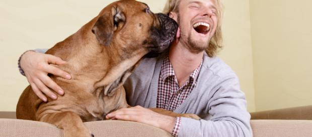 5 razones por las que es bueno tener un perro en casa : Su Médico - sumedico.com 5 razones por las que es bueno tener un perro en casa : Su Médico - sumedico.com