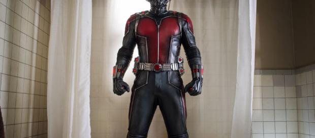 Ant-Man & Wasp no aparecen en Avengers: Infinity War Ant-Man & Wasp no aparecen en Avengers: Infinity War