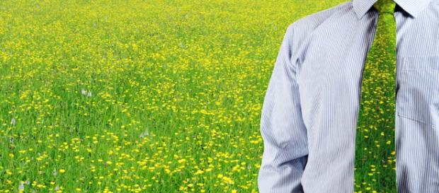 Consultoría Ambiental - Temas Ambientales - temasambientales.com Consultoría Ambiental - Temas Ambientales - temasambientales.com