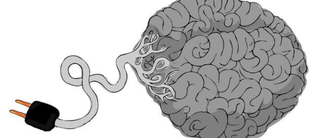 Las 100 curiosidades del cerebro que no conocías - cognifit.com Las 100 curiosidades del cerebro que no conocías - cognifit.com