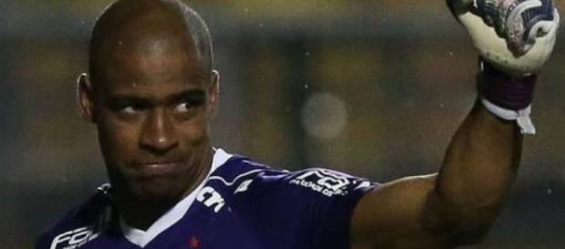 O goleiro se tornou referência neste time palmeirense O goleiro se tornou referência neste time palmeirense