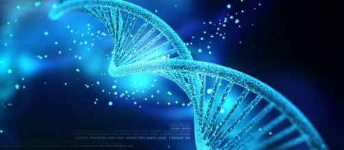 La ricerca sul DNA porterà l'essere umano all'immortalità?