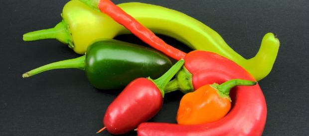 Descubren un chile tan picante que ni su creador se atreve a probarlo - televisa.com Descubren un chile tan picante que ni su creador se atreve a probarlo - televisa.com