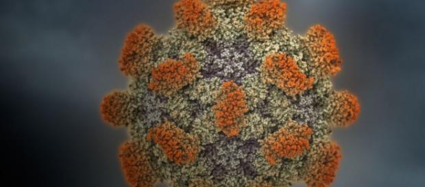 TODAYonline | Food-borne hepatitis E virus targets unwary travellers - todayonline.com TODAYonline | Food-borne hepatitis E virus targets unwary travellers - todayonline.com