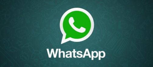 WhatsApp, WhatsApp, ecco un nuovo e interessante aggiornamento