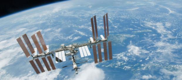 Hallan bacteria desconocida en estación espacial | Doble Llave - doblellave.com Hallan bacteria desconocida en estación espacial | Doble Llave - doblellave.com