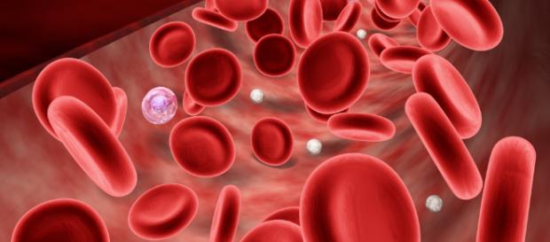 Nanorobots de ADN y trombina destruyen tumores in vivo en tiempo isanidad.com Nanorobots de ADN y trombina destruyen tumores in vivo en tiempo isanidad.com