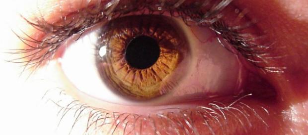 Nutrientes y vitaminas que cuidan nuestros ojos | Salud - facilisimo.com Nutrientes y vitaminas que cuidan nuestros ojos | Salud - facilisimo.com