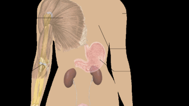 Fibromialgia, conoscere la malattia