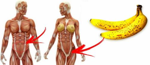 Consumir banana diariamente ajuda no combate à várias doenças