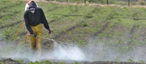 Fertilizantes químicos usos y consecuencias en la agricultura - com.mx