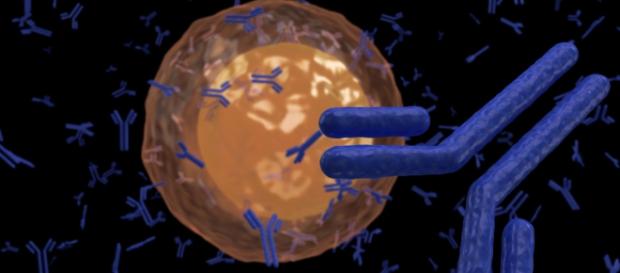 Avance terapéutico en esclerosis múltiple - Resumen de Salud - resumendesalud.net Avance terapéutico en esclerosis múltiple - Resumen de Salud - resumendesalud.net