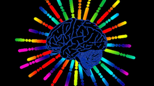 la ricetta per creare un cervello in provetta