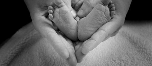 Tiny feet in parents hands. - [One_Life / Pixabay]