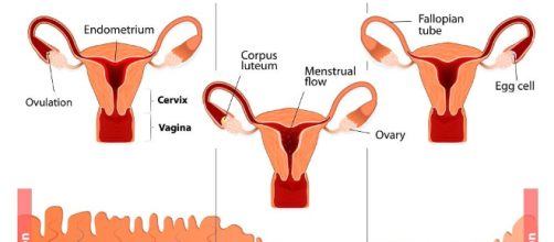 Algunos hábitos muy comunes pueden perjudicar su salud. Ver cuáles son