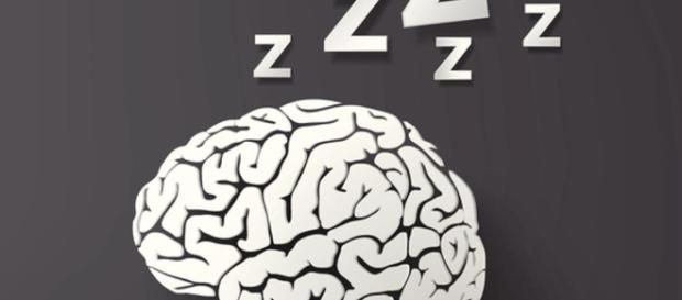 cerebro se duerme por zonas mientras estamos despiertos - lavanguardia.com cerebro se duerme por zonas mientras estamos despiertos - lavanguardia.com