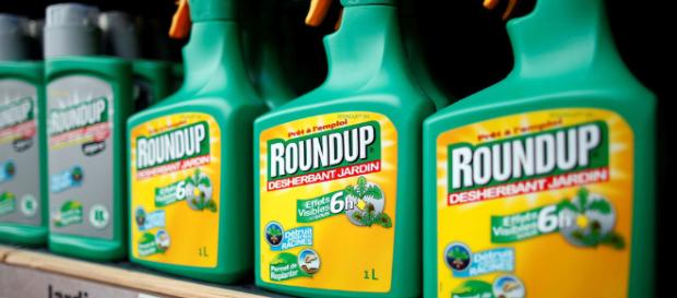 El glifosato, el herbicida de la discordia que divide a la Unión ... - elespanol.com El glifosato, el herbicida de la discordia que divide a la Unión ... - elespanol.com