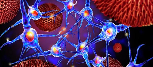 Prueba para síndrome de anticuerpos antifosfolípidos - Inmunología ... - labmedica.es Prueba para síndrome de anticuerpos antifosfolípidos - Inmunología ... - labmedica.es