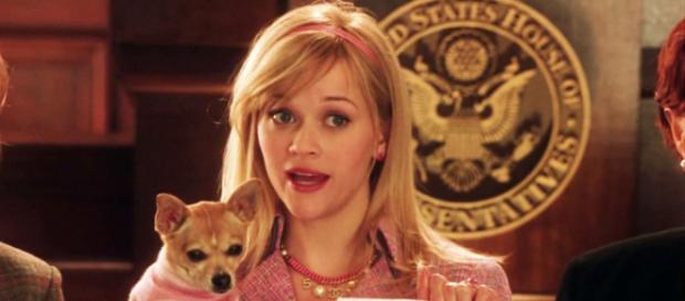 Reese Witherspoon, en negociaciones para volver a ser Elle Woods Reese Witherspoon, en negociaciones para volver a ser Elle Woods