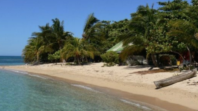 violenza su una concorrente al reality francesce