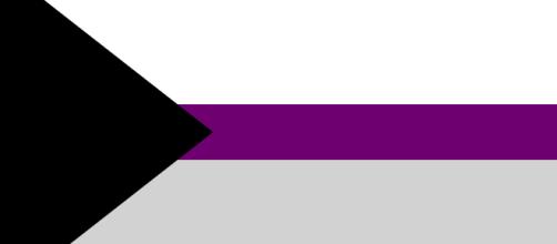 The demisexual pride flag, used by some demis to identify themselves. Image: Wikimedia Commons, https://en.wikipedia.org/wiki/Gray_asexuality.