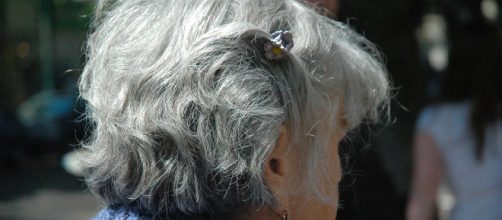 Pensioni di vecchiaia, focus e novità ad oggi 14 maggio 2018