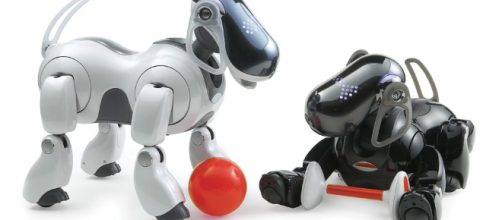 Robopets, los animales robot que sustituirán a los animales de carne y hueso