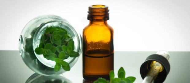 Aceite de Orégano: Contraindicaciones, Propiedades Medicinales ... - unisima.com Aceite de Orégano: Contraindicaciones, Propiedades Medicinales ... - unisima.com