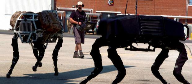 BigDog military robots (Image credit - M. L. Meier, Wikimedia Commons) BigDog military robots (Image credit - M. L. Meier, Wikimedia Commons)