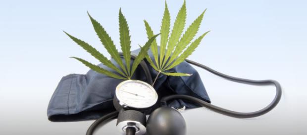 El cannabis y el accidente cerebrovascular - sensiseeds.com El cannabis y el accidente cerebrovascular - sensiseeds.com