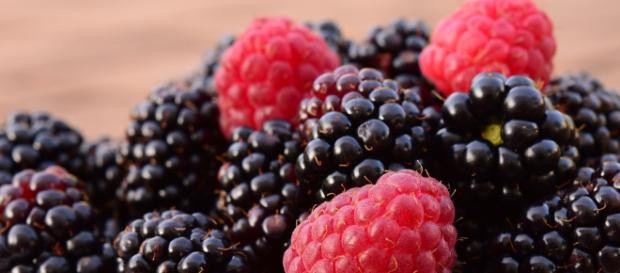 Frambuesas Moras Frutas · Foto gratis en Pixabay - pixabay.com Frambuesas Moras Frutas · Foto gratis en Pixabay - pixabay.com