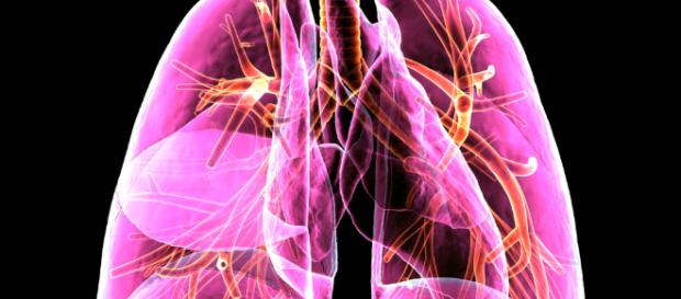 Imfinzi® podrá usarse en cáncer pulmonar no resecable. – Ideas Pharma - ideaspharma.com Imfinzi® podrá usarse en cáncer pulmonar no resecable. – Ideas Pharma - ideaspharma.com