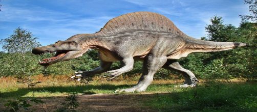 Los dinosaurios se extinguieron hace 66 millones de años. Public Domain.